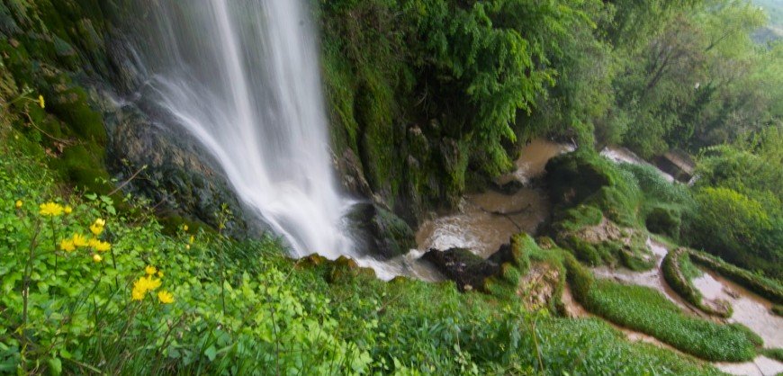 870x418xED-870x418.jpg.p