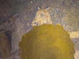 Amphipolis dig reveals amazing mosaic floor